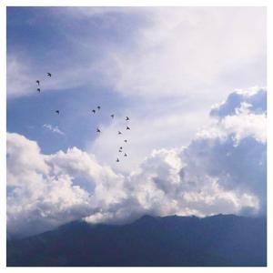 久久五月天综合网
