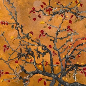 女友的石女闺蜜石瑶小说免费阅读
