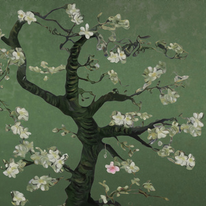 不知火和三个小男孩在森林公园猜数字答案
