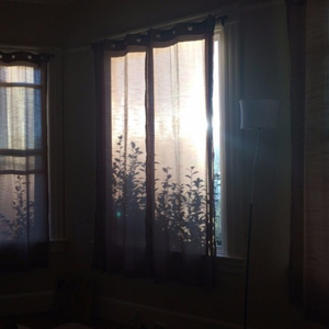 大汉脚Gay脱裤子玩j的网站
