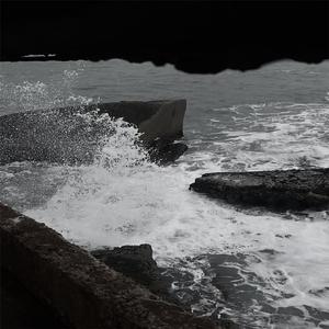 精品+无码➕免费➕下载软件
