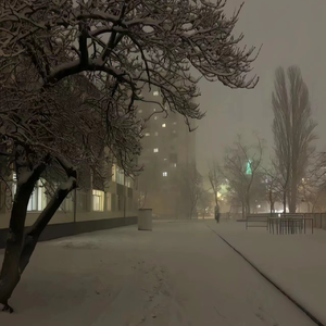 欧美成人奇葩性爱另类在线
