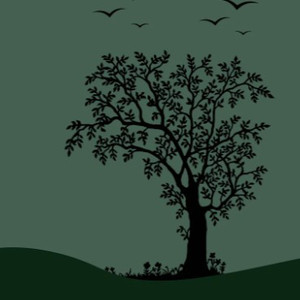 欧美Gay裸体自慰
