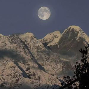 亚洲一卡二卡三卡四卡2021麻豆
