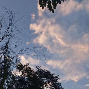 女孩子的隐藏部位清晰照片
