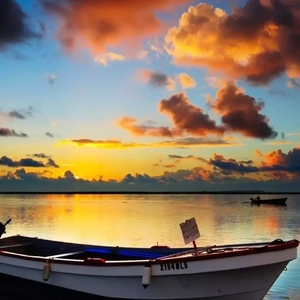 欧美成人奇葩性爱另类在线
