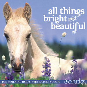 久久五月天综合网
