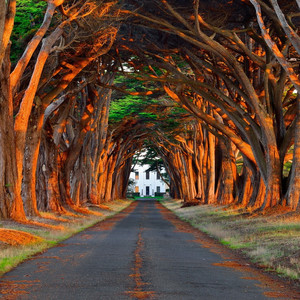 男人的鸡巴插女人的逼里狂操网战
