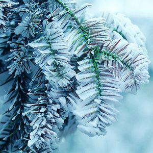 本庄优花无码破解流出
