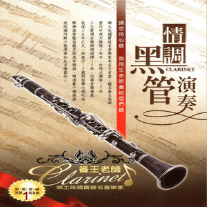 女人自慰全过程(有声
