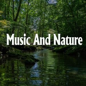 男人的鸡巴插女人的逼里狂操网战
