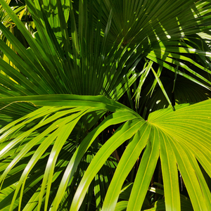 欧美成人奇葩性爱另类在线
